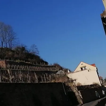 #1 Bei Der Porzellan Manufaktur Daire *